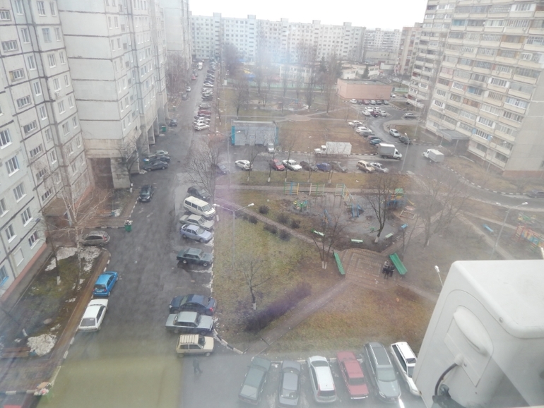 Природа вообще с ума сошла