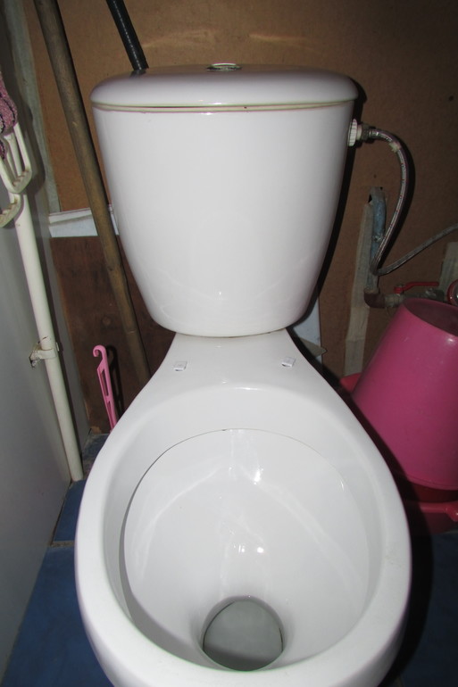 Один день из жизни Флайледи