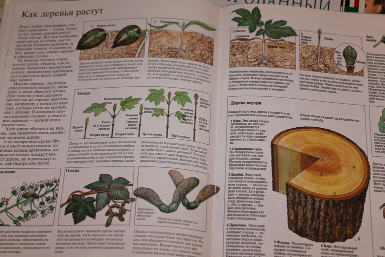 книжное счастье