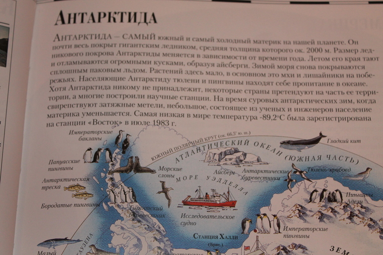 книжное счастье