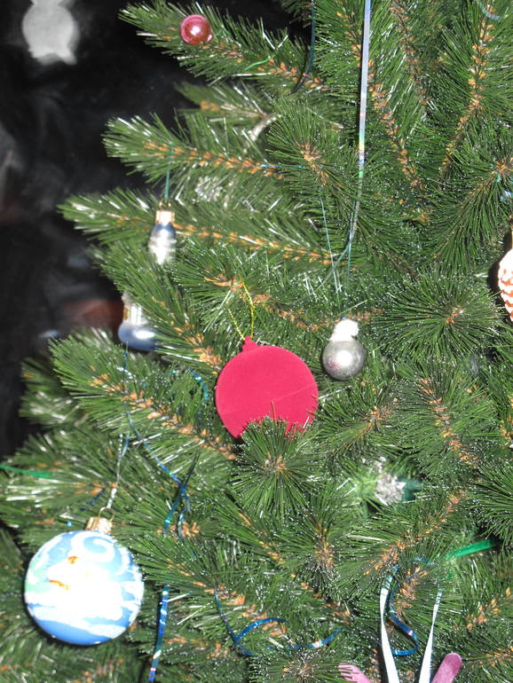 Нашла на нашей елке с утра новый