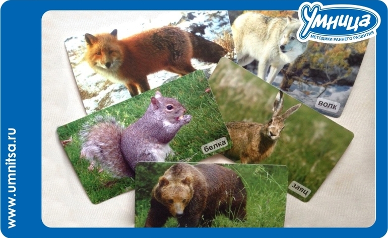 Животные зимой