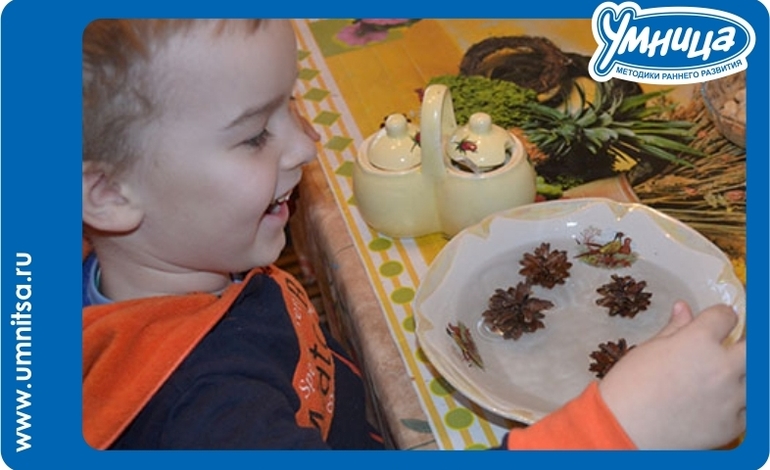 Эксперименты с шишками