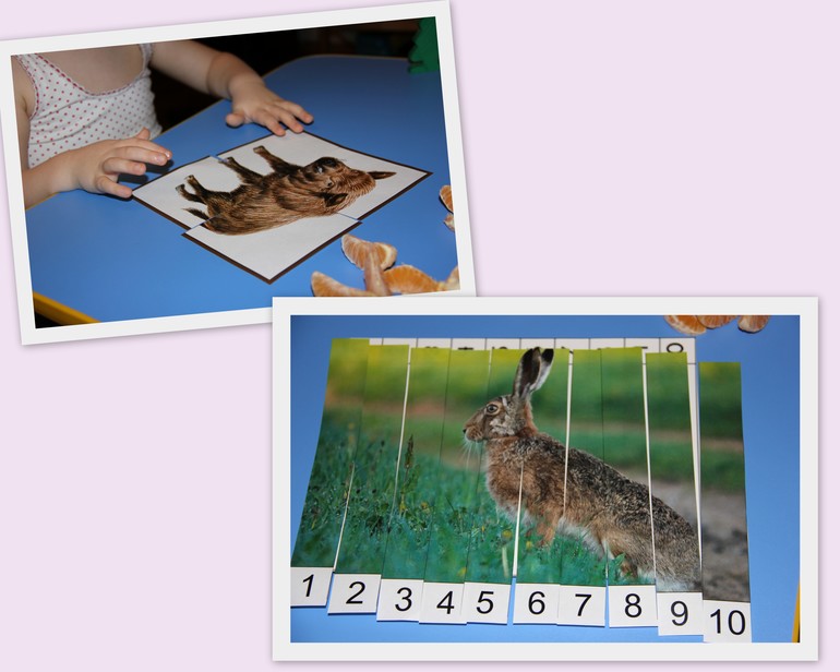 Тн "Лесные животные".