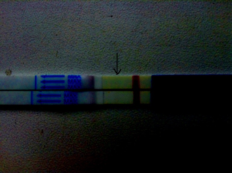 fdaeb8bccc295701fa296003b02566e2.jpg