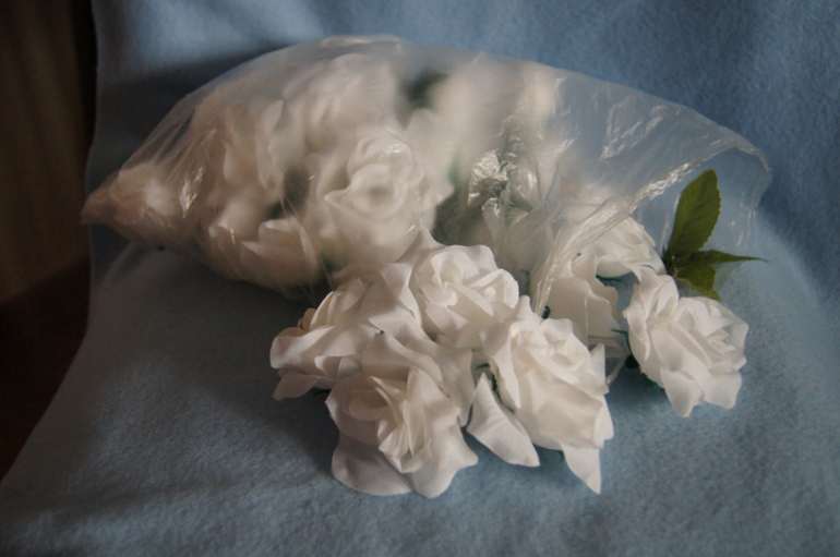 Мой хомяк делится !!!