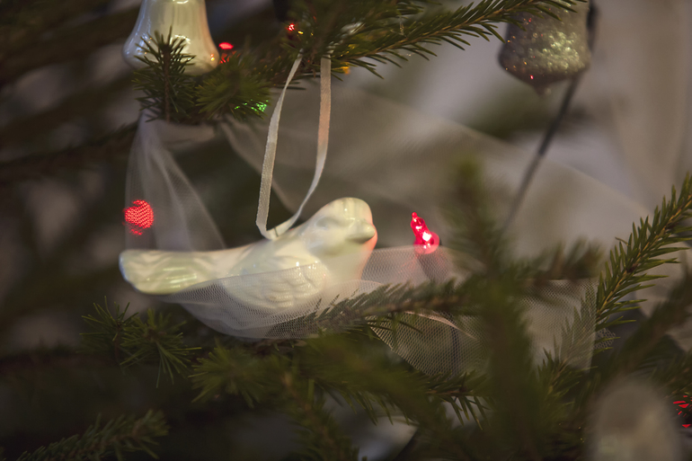 Рождственский пост