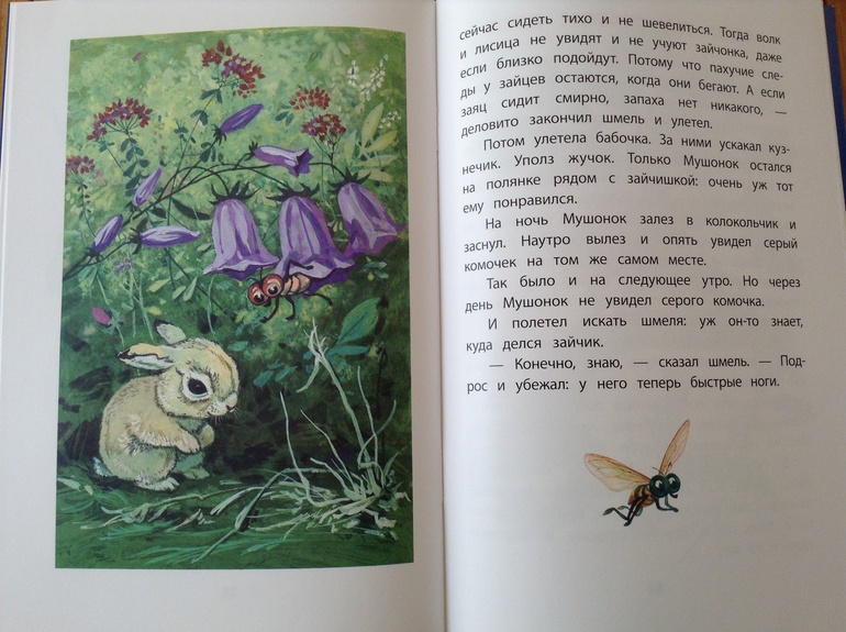 "Февральские" посылки