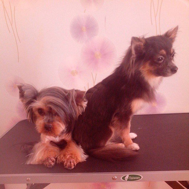 давно не показывались)