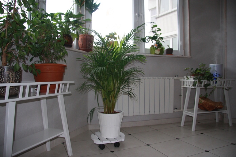 Кресло в зимний сад)))) и не только оно.......