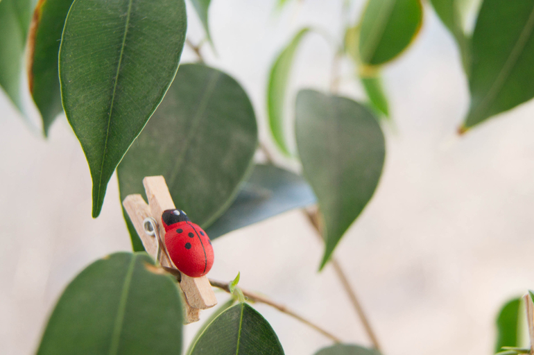 Покритикуйте, плиз!