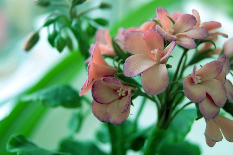 Контрольное задание № 6. Три способа цветокоррекций фотографий