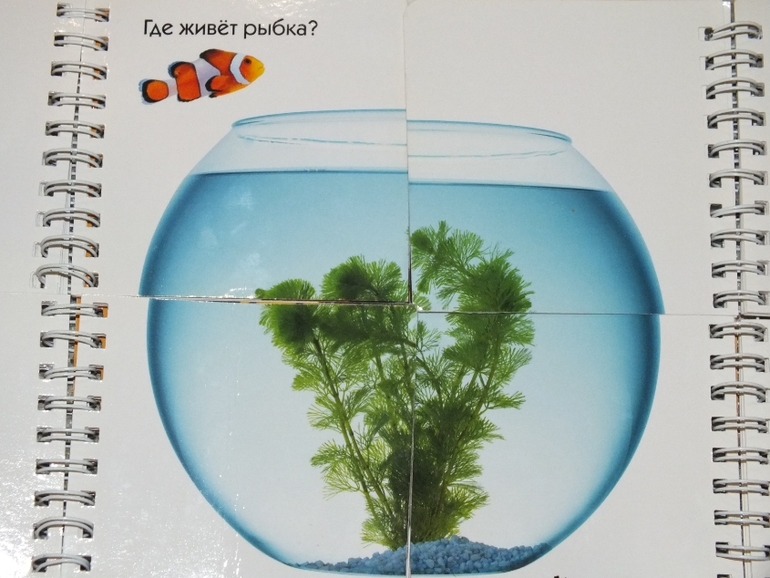 ТН цвета. Оранжевый.