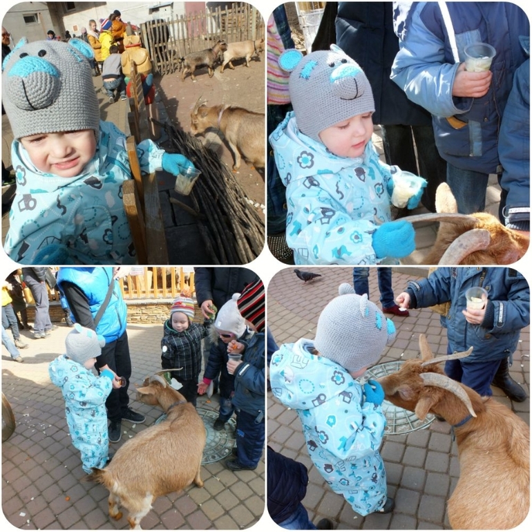 ТН Домашние животные.