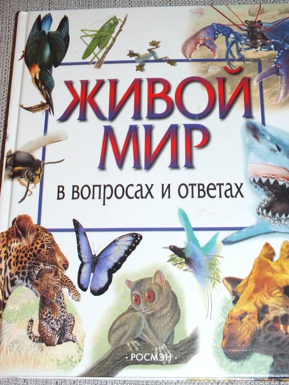 ТН цвета. Оранжевый.