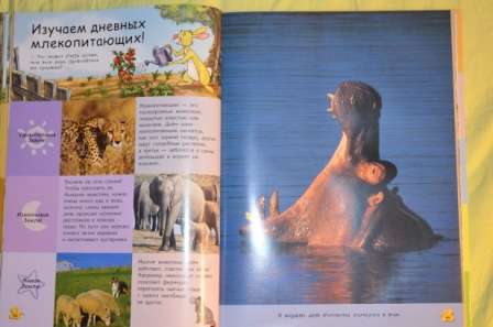 Из последнего. На вырост)