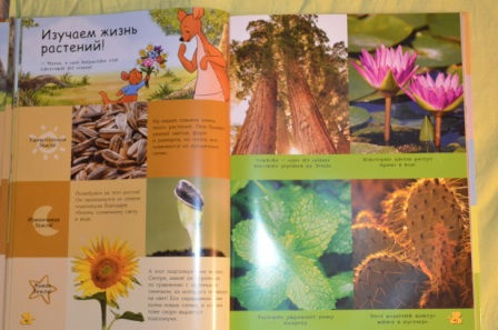 Из последнего. На вырост)