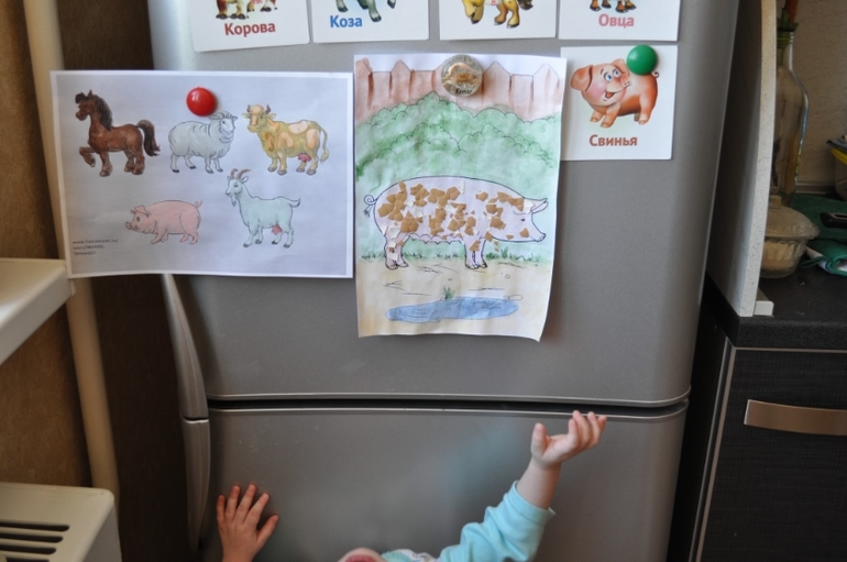 ТН "Скотный двор" День 5. Свинья