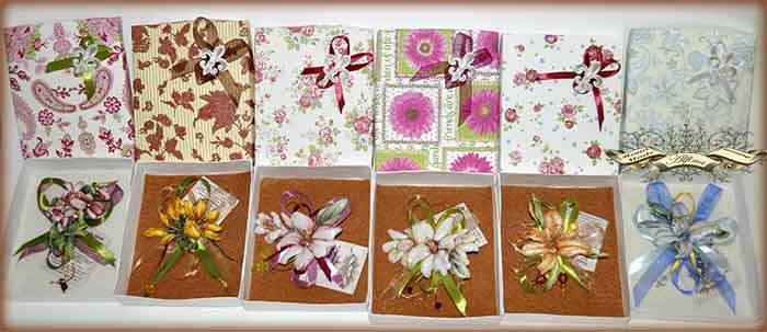 Броши, брошки, брошечки....