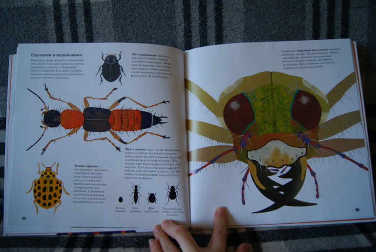 Наши новиночки