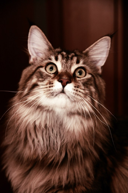 Химия. Для уборки.