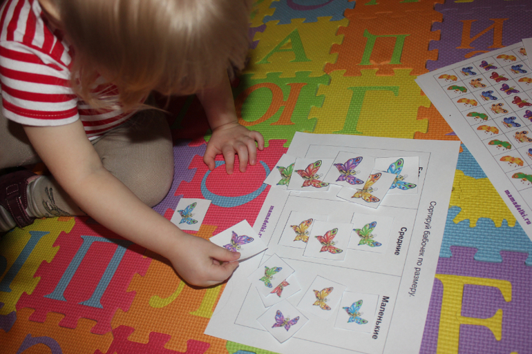 ТН "Насекомые". Пятый день.