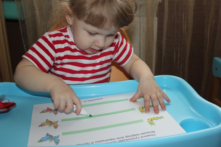 ТН "Насекомые". Пятый день.