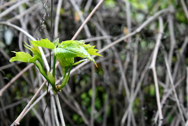 После Дождя