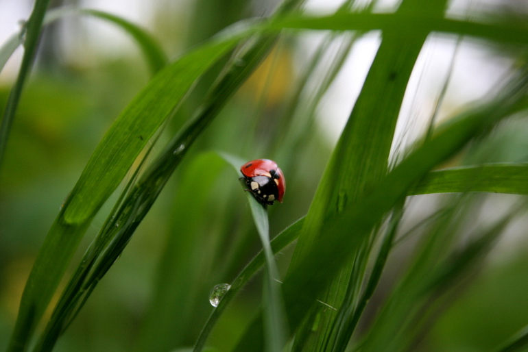 После Дождя