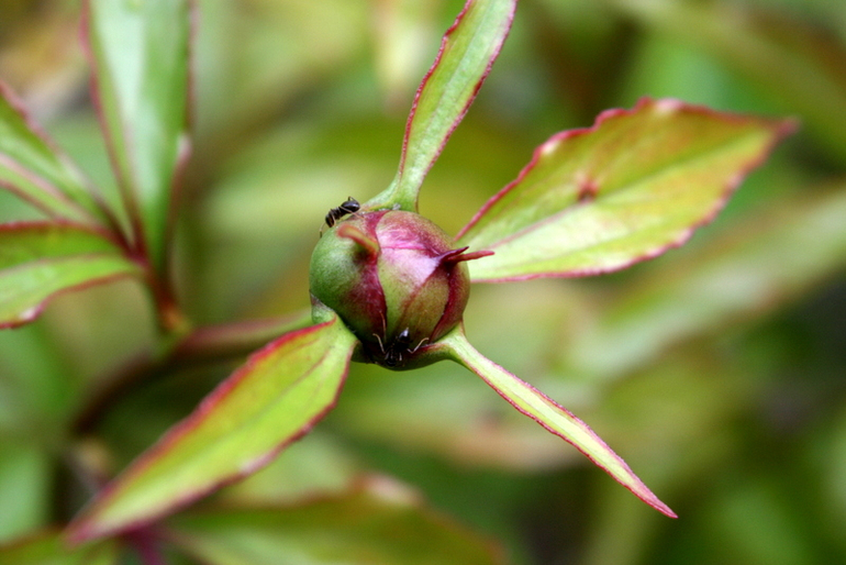 После Дождя