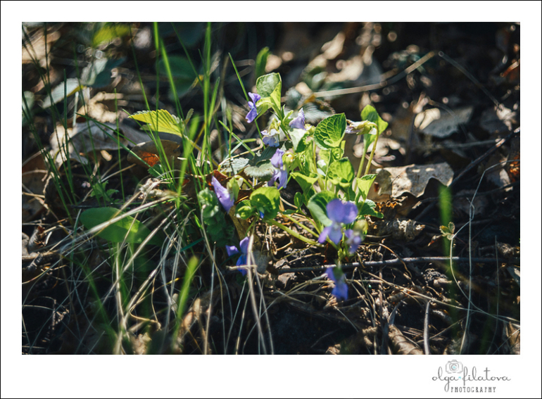 Настя - Том Сойер или хорошо в саду весной ) Часть 1.