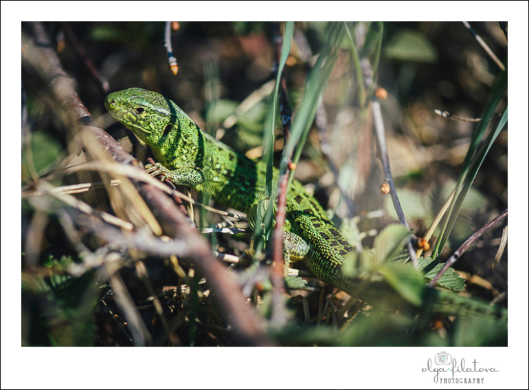 Настя - Том Сойер или хорошо в саду весной ) Часть 2.