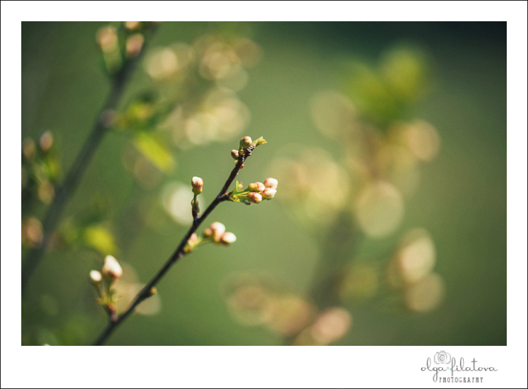 Настя - Том Сойер или хорошо в саду весной ) Часть 2.