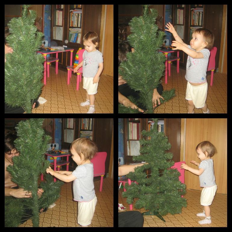 День первый Елка!