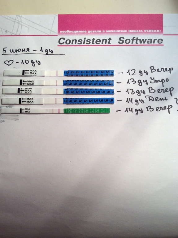 Тесты действительно Г!!!!!!