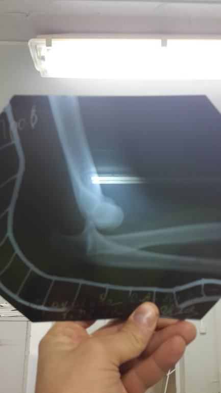 Вынужденный "простой" ((((