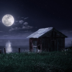 за Серую шейку