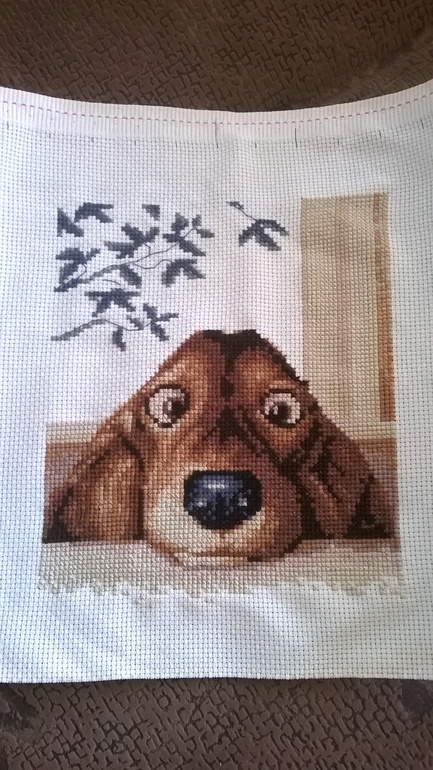 1 квартал 2014года