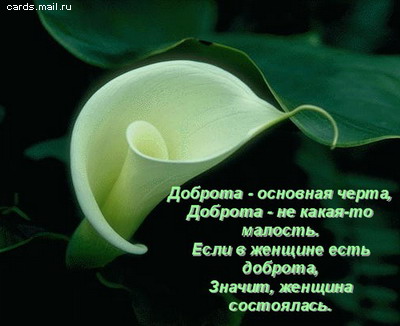 Моё ба-а-а-аальшое спасибо и низкий поклон!!!