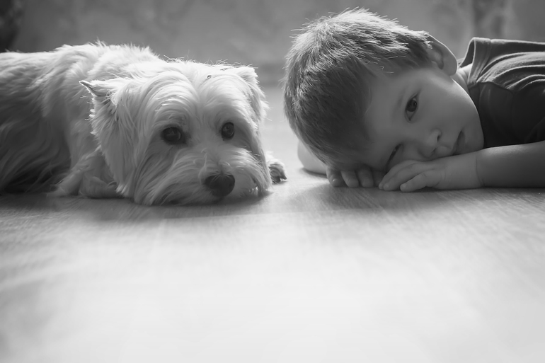 Любимки мои)