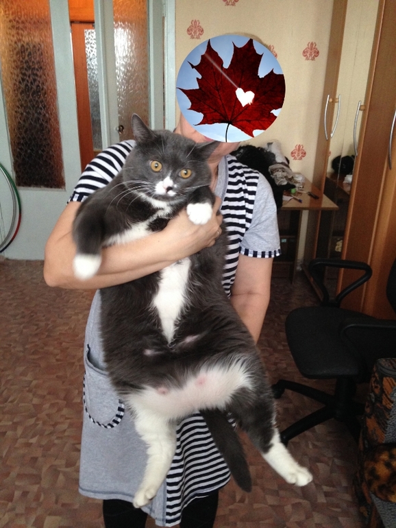 Я ,кажется...