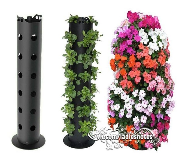 Вертикальный сад.