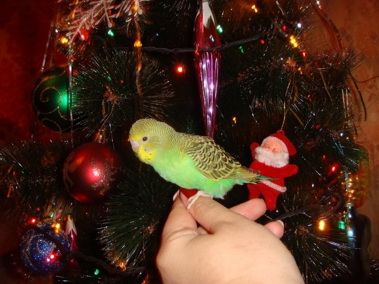 Мои попики!))))