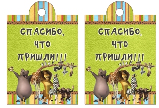 Набор для Дня Рождения "Мадагаскар"