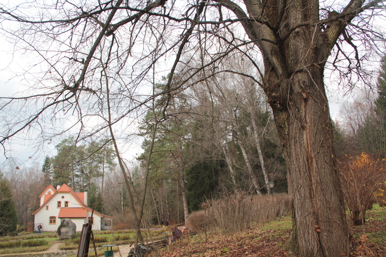 Приокско-террасный заповедник. Усадьба Поленово