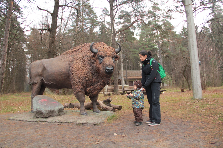 Приокско-террасный заповедник. Усадьба Поленово