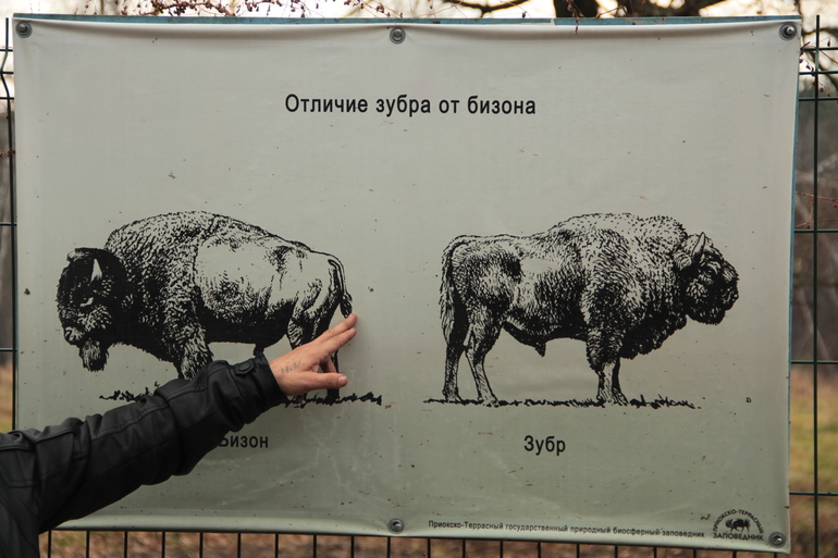 Приокско-террасный заповедник. Усадьба Поленово