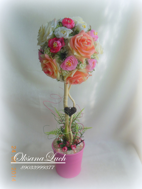 Новое деревце "Утро невесты". Высота 50 см.