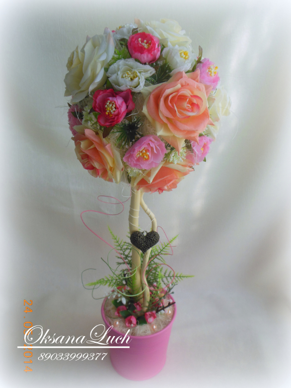 Новое деревце "Утро невесты". Высота 50 см.