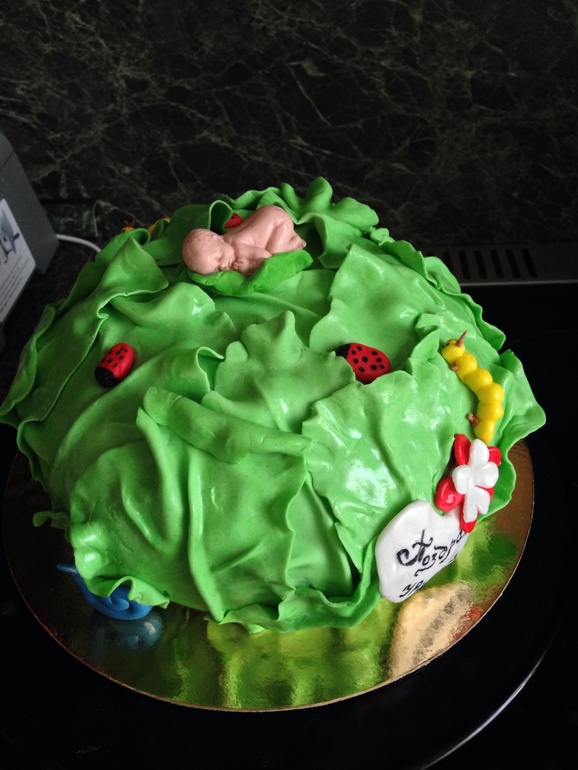 Этот торт делала с особой любовью! первая капуста :-)